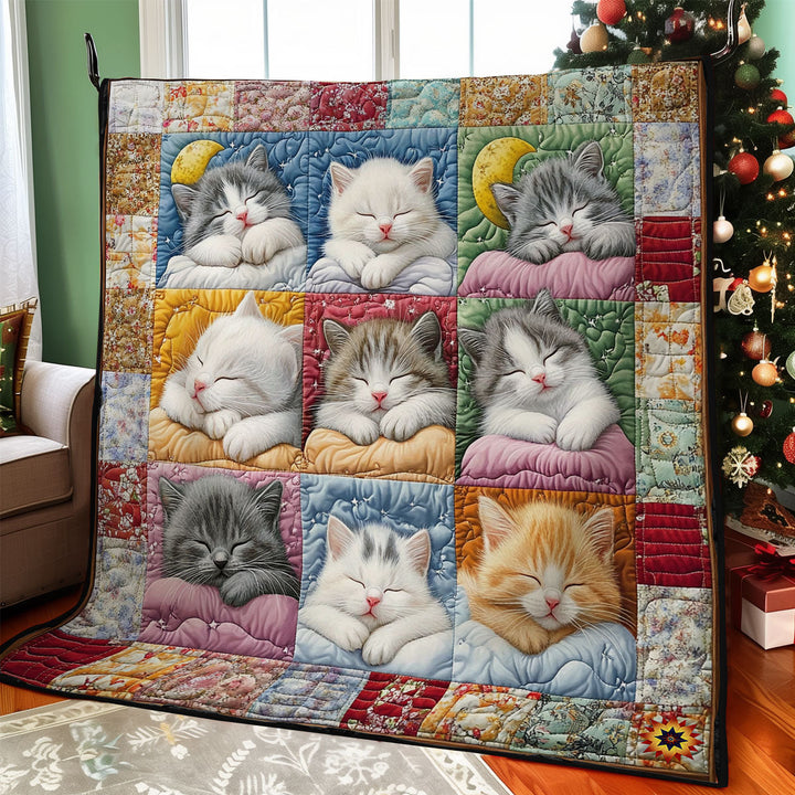 Patchwork-Steppdecke mit schlafenden Kätzchen auf Kissen