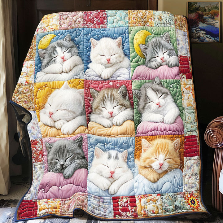 Patchwork-Steppdecke mit schlafenden Kätzchen auf Kissen