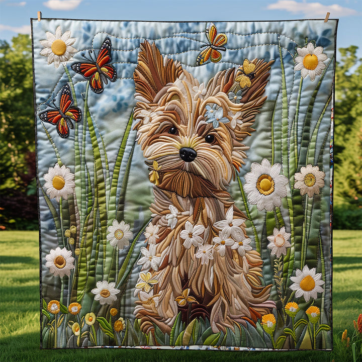 Steppdecke mit Yorkshire Terrier zwischen Gänseblümchen