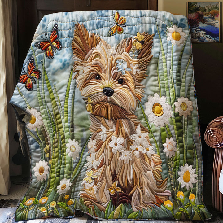 Steppdecke mit Yorkshire Terrier zwischen Gänseblümchen