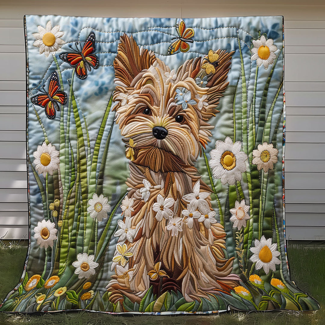 Steppdecke mit Yorkshire Terrier zwischen Gänseblümchen