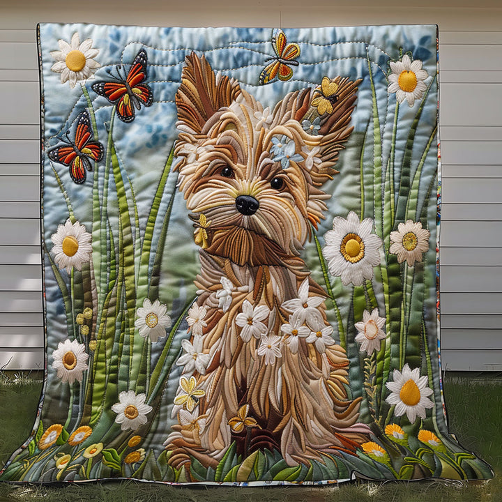 Steppdecke mit Yorkshire Terrier zwischen Gänseblümchen