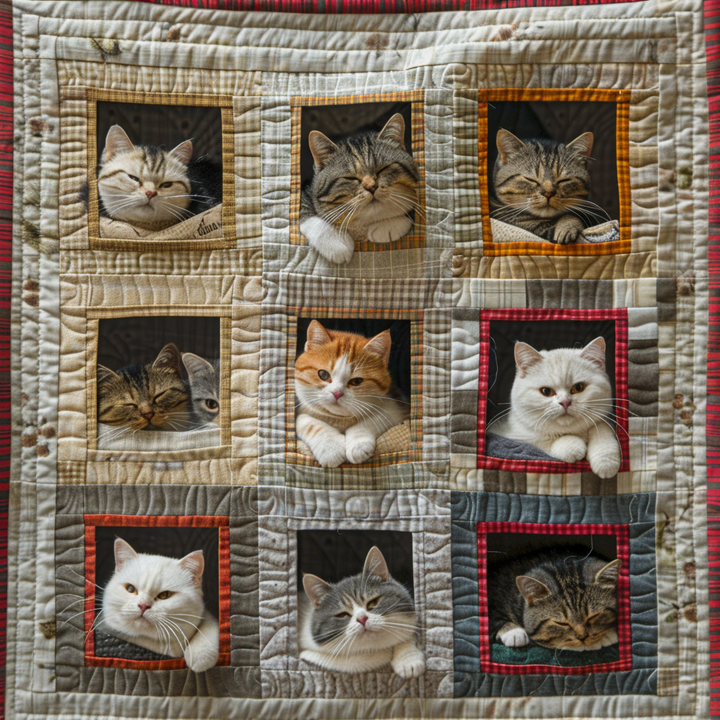 Steppdecke mit Katzen in Fenstern